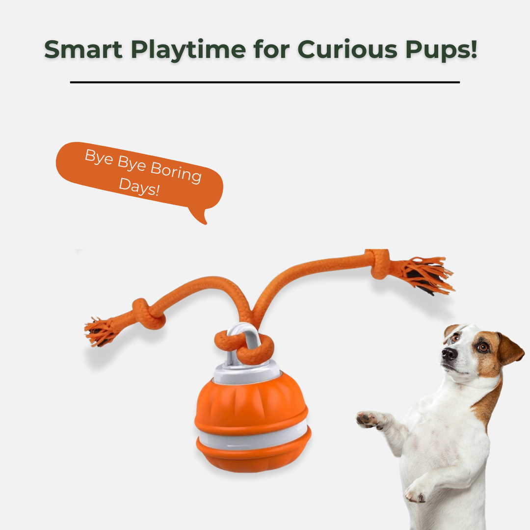 OrbitPup Motion Ball