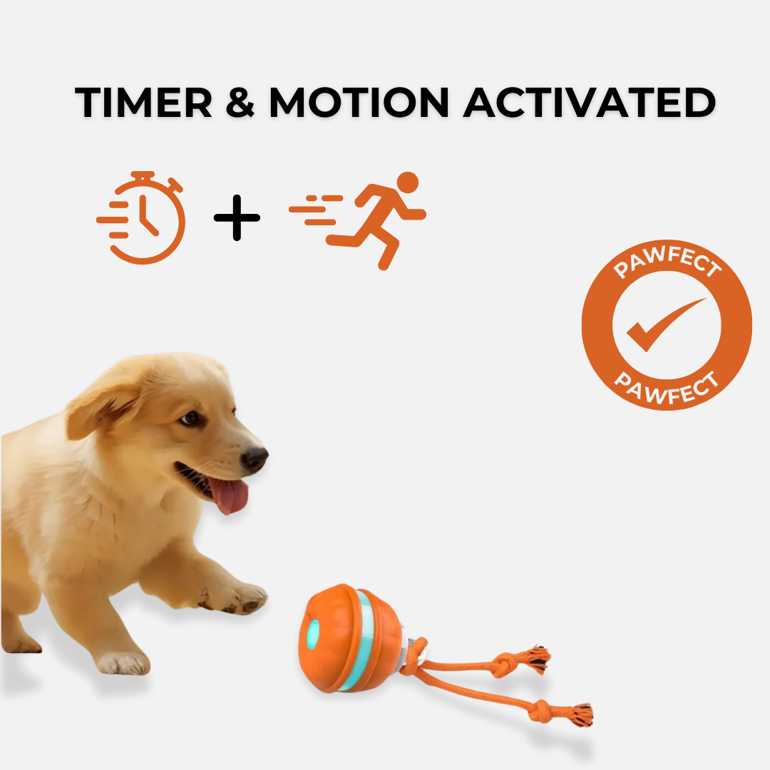 OrbitPup Motion Ball