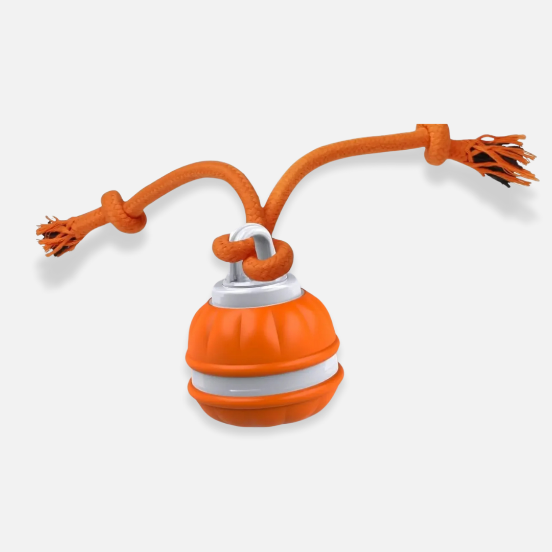 OrbitPup Motion Ball