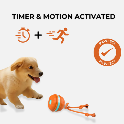 OrbitPup Motion Ball